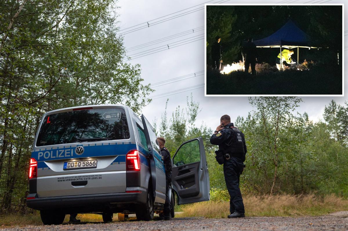 German police find 21 explosives after electricity attack