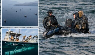 US Navy SEALS spent four months demining the Strait of Hormuz in dangerous, nighttime mission