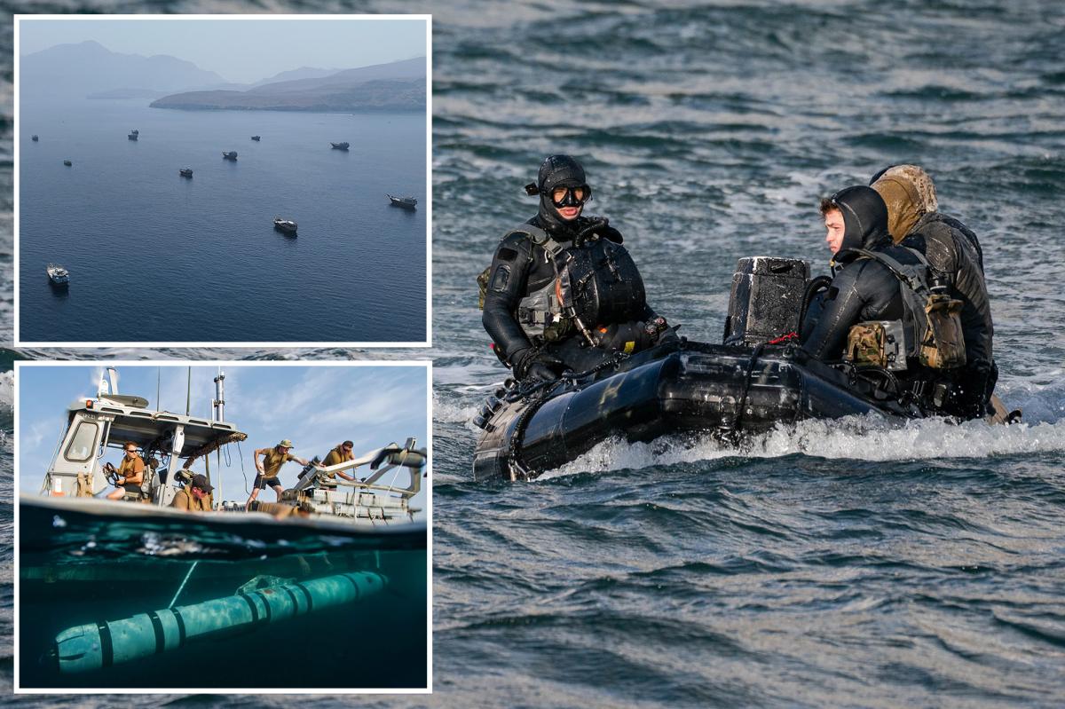 US Navy SEALS spent four months demining the Strait of Hormuz in dangerous, nighttime mission