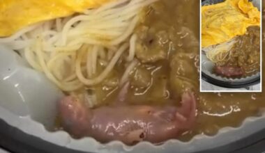 Hong Kong Diner finds newborn rat in Wa Jer Restaurant meal