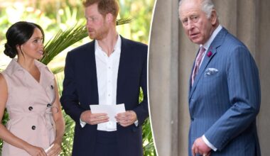 Exclusive | King Charles and Prince Harry 'dragging' public in family feud with letter -