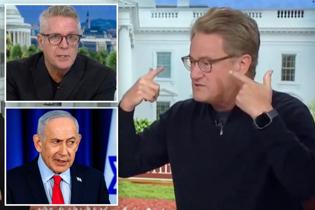 'Morning Joe' co-hosts have heated shouting match over Israel: 'Do I look stupid to you?'