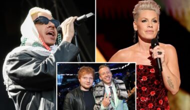 Pink hits back amid backlash for criticizing Macklemore's anti-Israel concert rant