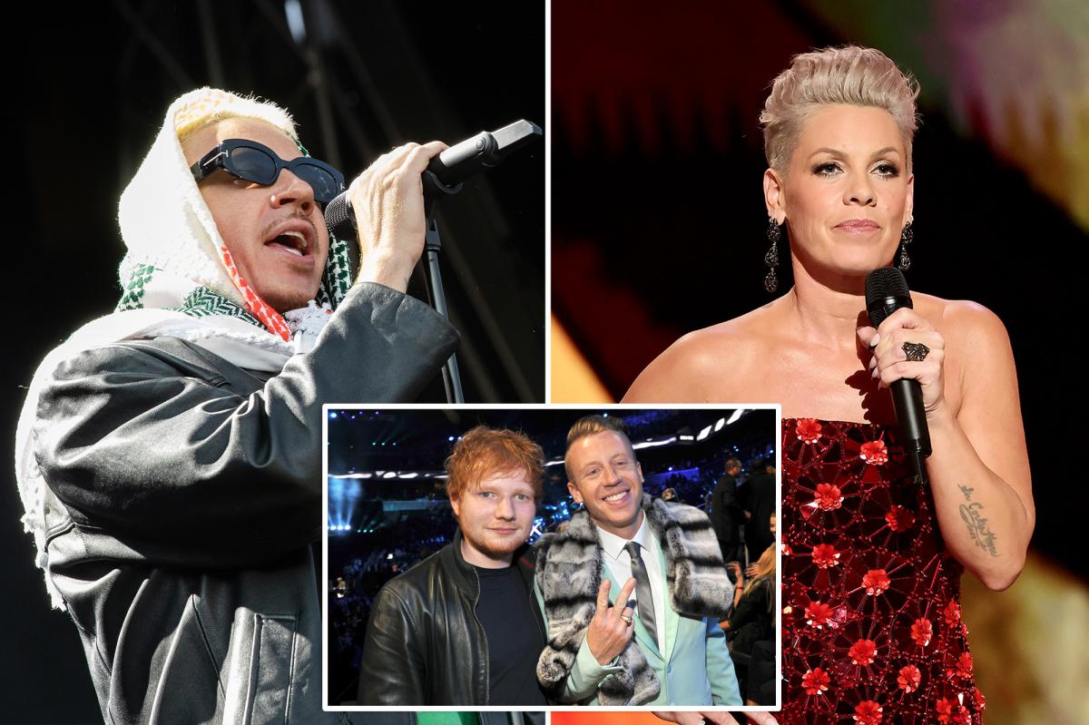 Pink hits back amid backlash for criticizing Macklemore's anti-Israel concert rant