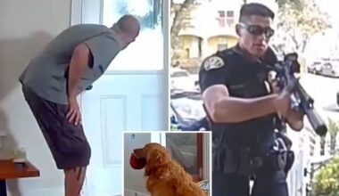 Golden Retriever brings toys to intruder during San Diego home break-in