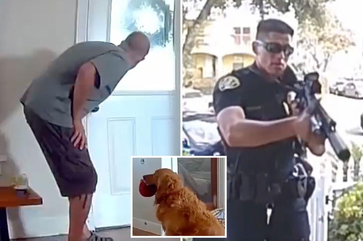 Golden Retriever brings toys to intruder during San Diego home break-in