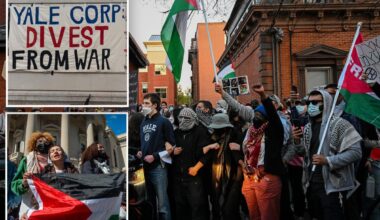Yale freshmen more critical of Israel than China, new study finds