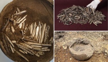 Homeowner unearths massive Viking silver hoard in Denmark