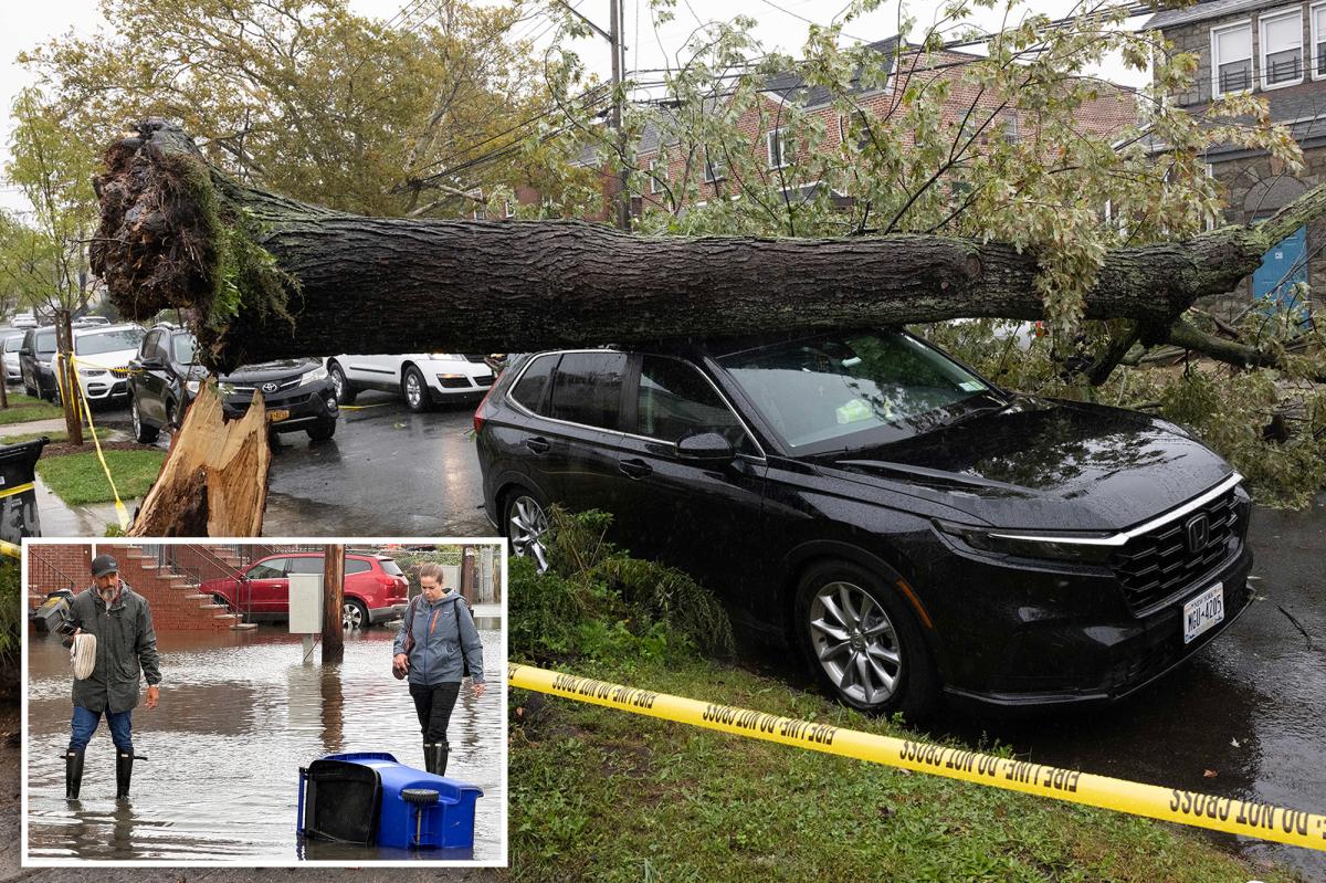 Round 2 of NYC's nor'easter leaves surreal scenes