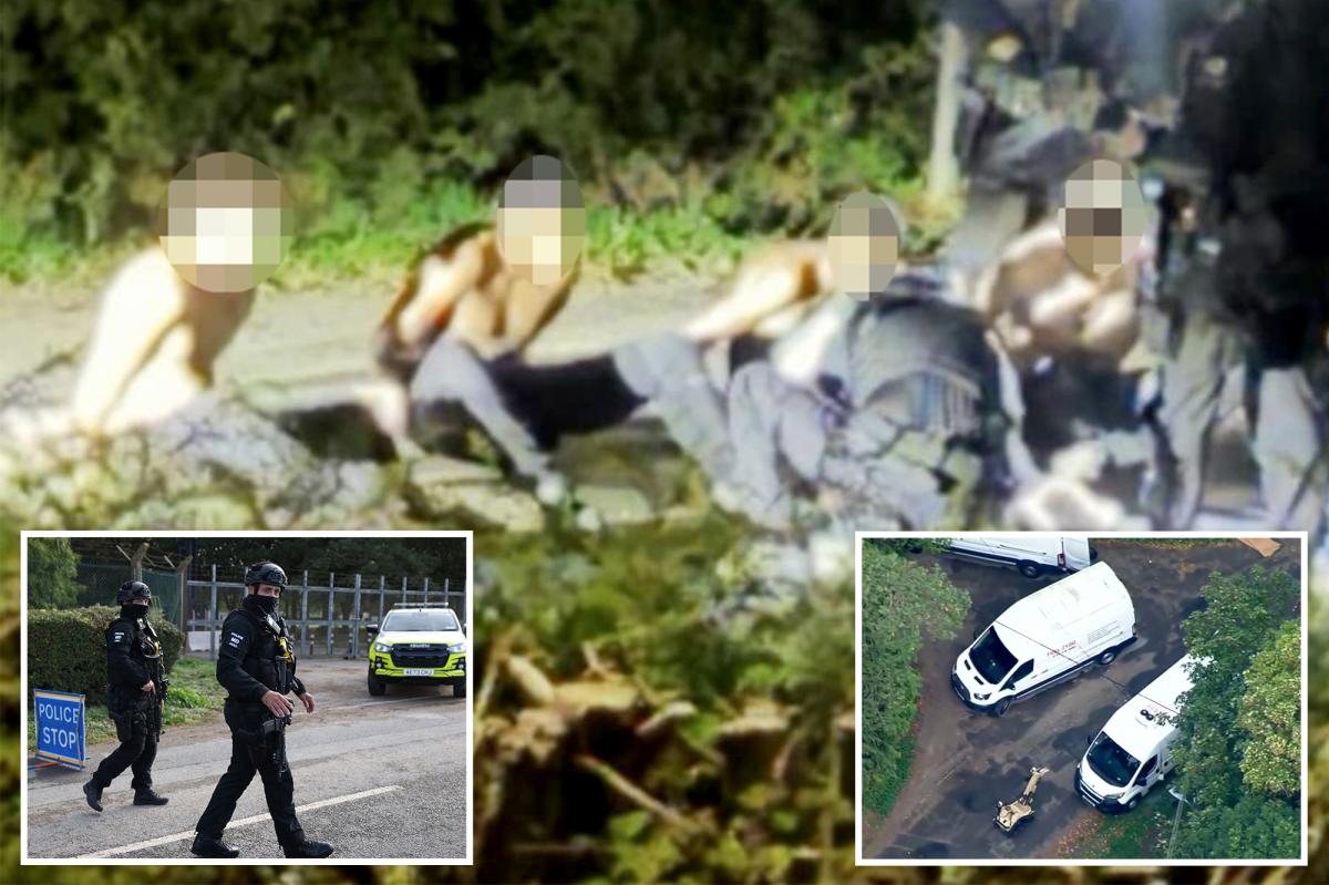 Farmer who foiled suspected Iran terror plot on UK base blasts security — and fears several terrorists still free