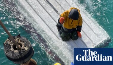 Teen boy who clung to overturned boat for days rescued in Bering Sea | Alaska