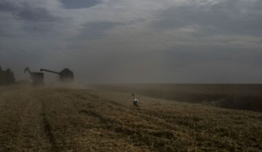 'We Don't Know How We Will Survive:' Ukraine's Vital Grain Exports Crippled