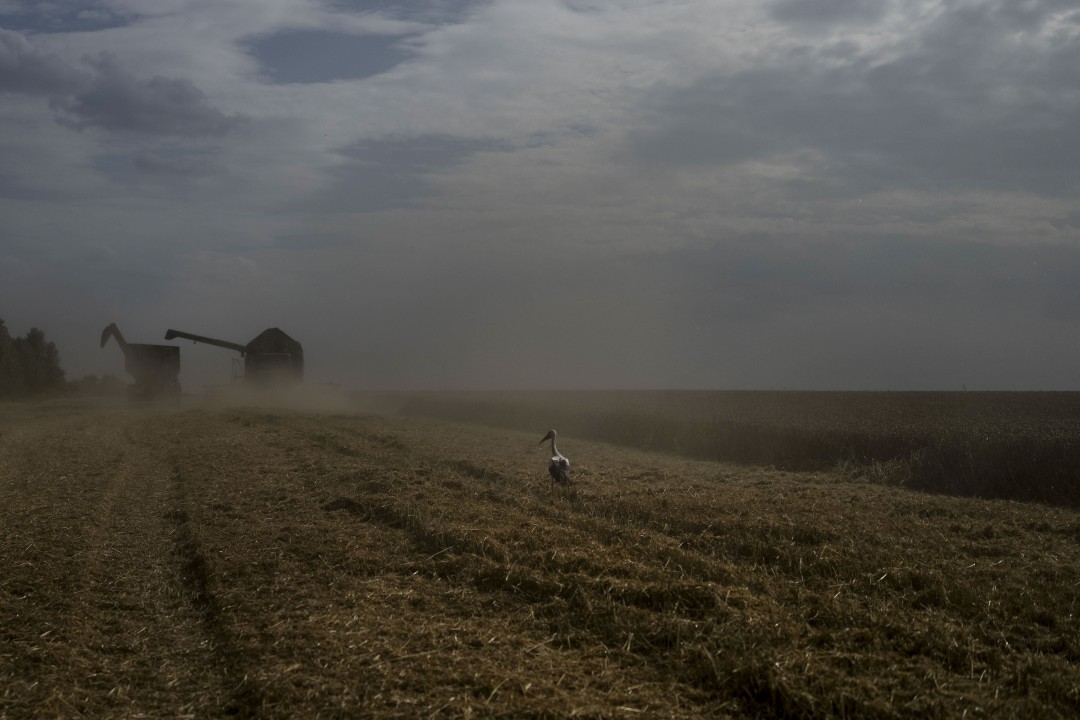 'We Don't Know How We Will Survive:' Ukraine's Vital Grain Exports Crippled