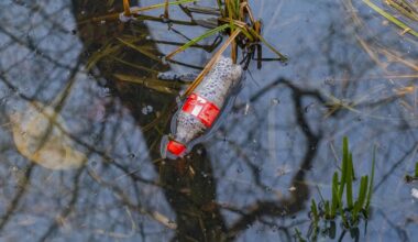Rivers Moving More Plastic to the Ocean Than Thought