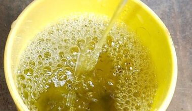Tainted 'Monkey Tail' Drink Kills Dozens in Nigeria