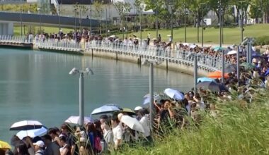 600K Flock to Korean Canal to Spot 'Bukangi'
