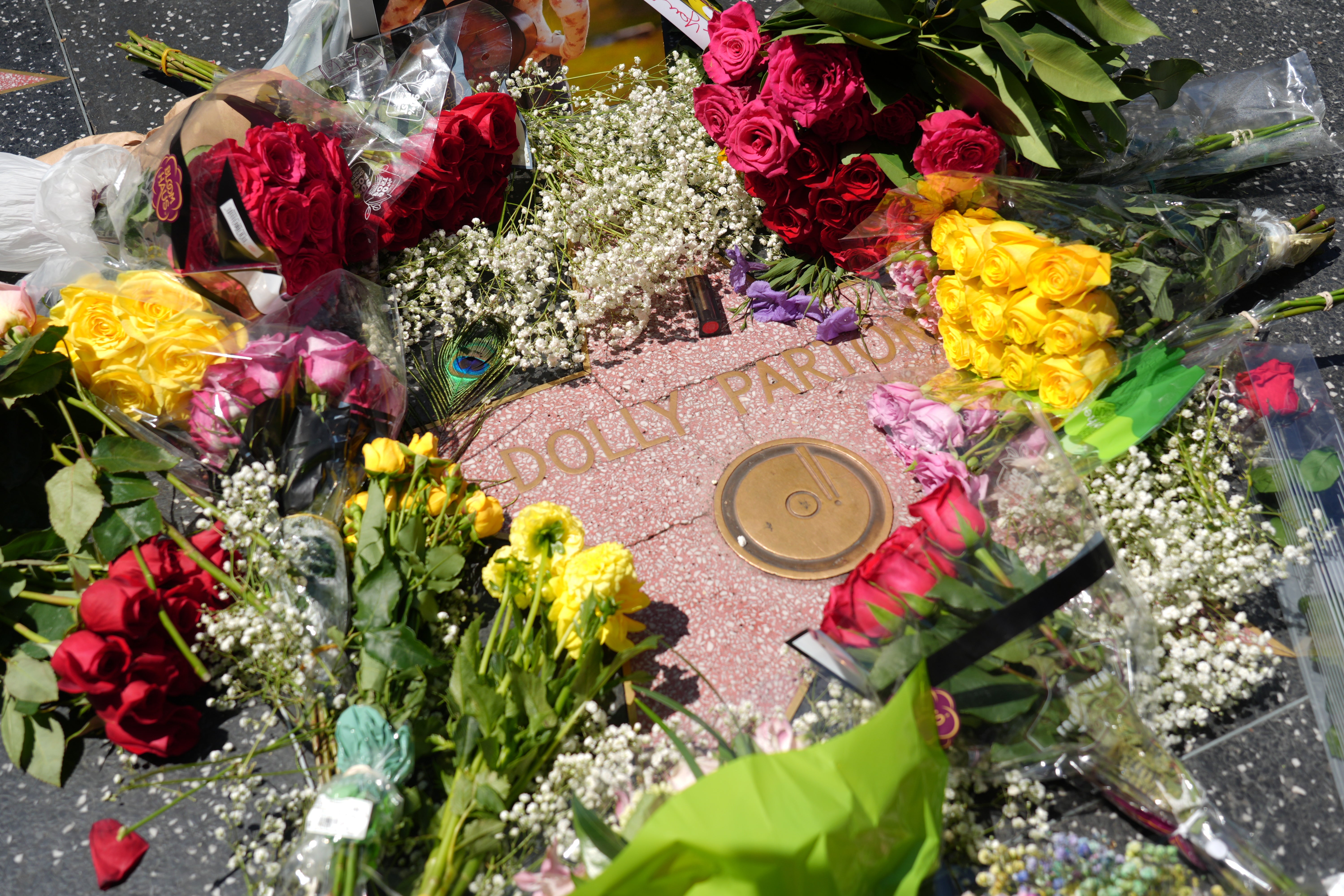 Dolly Parton's star on the Hollywood Walk of Fame is being repaired due to cracks in the terrazzo and recent reports of vandalism