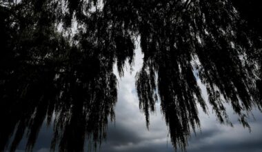 Hot, wet, damp and foggy in Ontario, Prairies and Maritimes, with tornado risk in some areas - CTV News