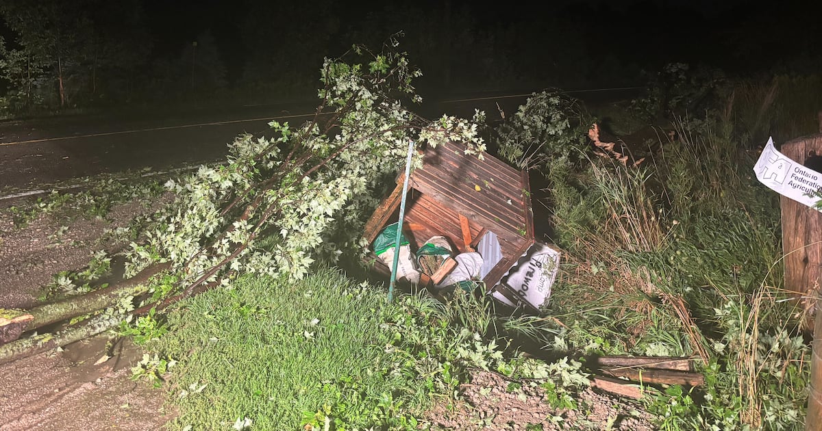Did a tornado touch down in Wellesley?