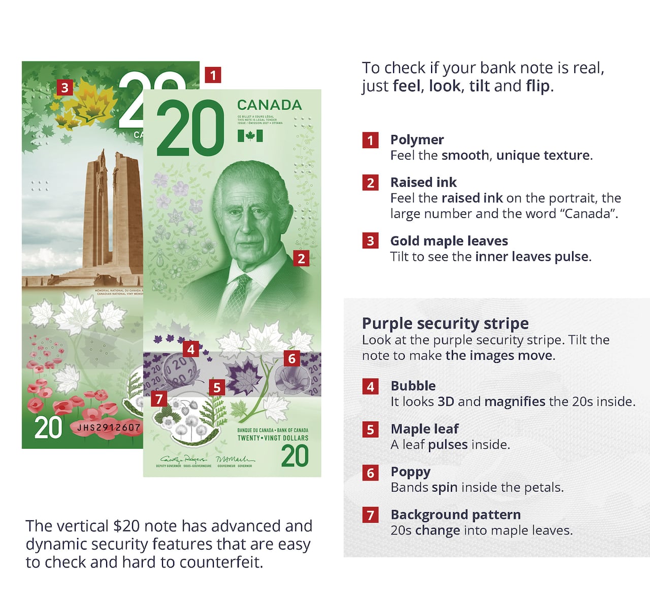 A graphic of a $20 bill, with instructions on how to check if it's fake. Numbered callouts identify seven security features: the polymer texture, raised ink, gold maple leaves that appear to pulse when tilted, and a purple security strip.