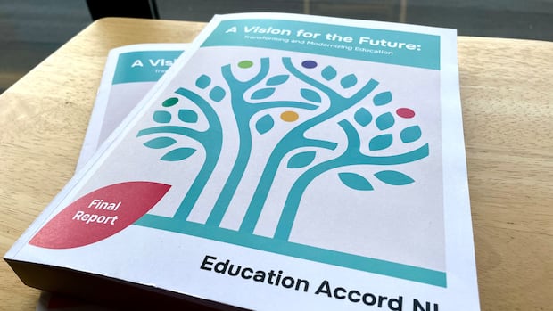 ‘Worse than we thought’: Scrubbing of Education Accord reveals 38 references to non-existent sources