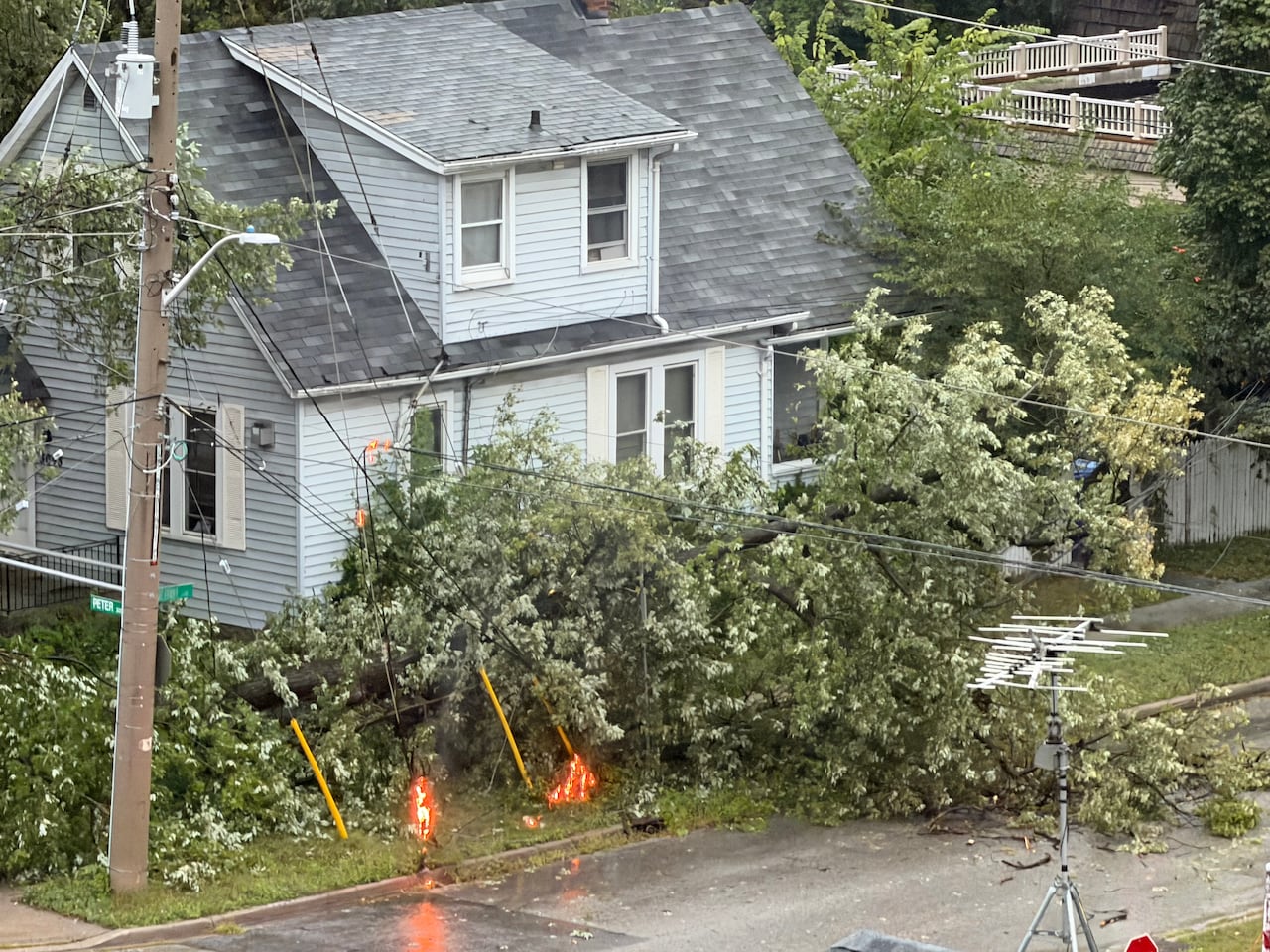 Tree on a power line with small bits of orange flame.