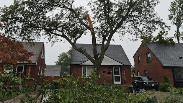 Environment Canada radar confirms tornado swept across Windsor, McGregor