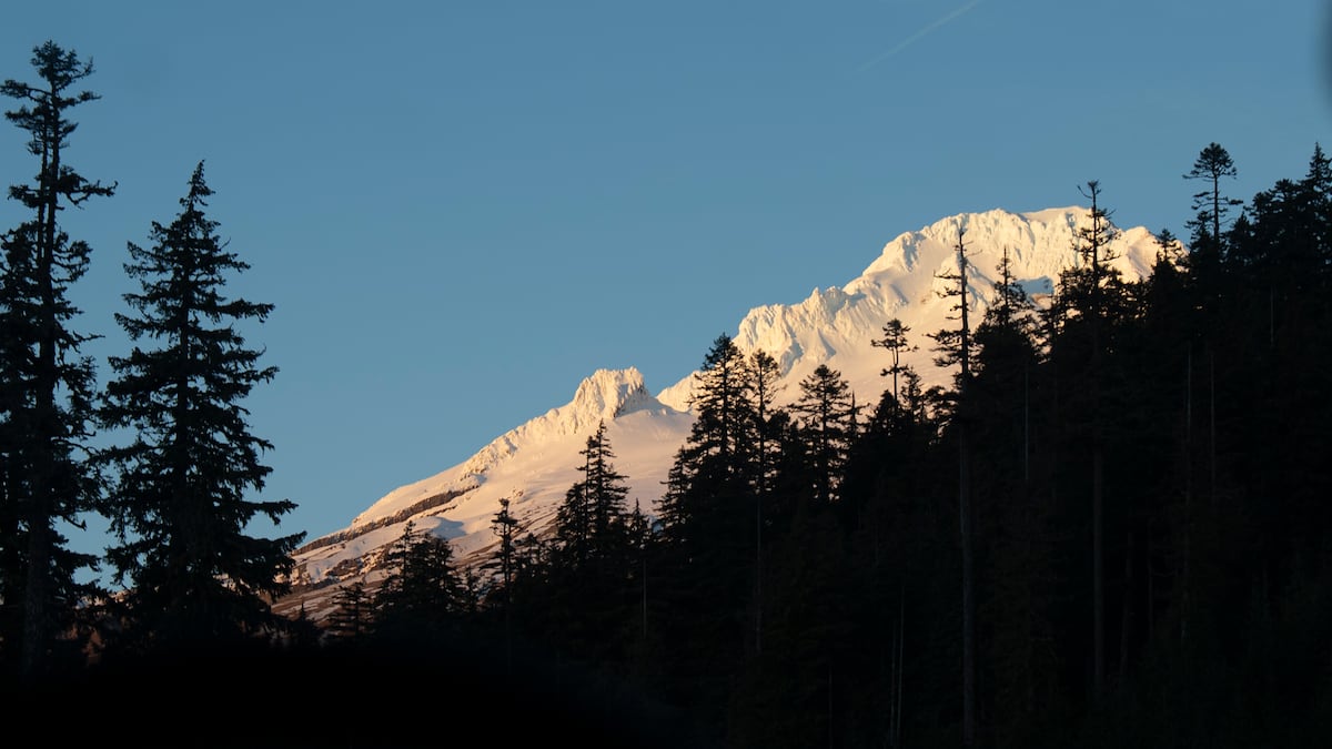 US Forest Service releases long-awaited restructuring plan