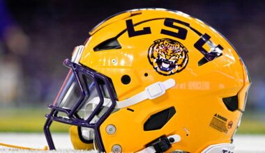 Judge grants injunction allowing LSU to sign former NFL players