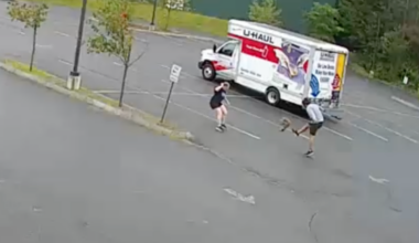 VIDEO: Mysterious aggressive animal attacks 3 people in Hew Hampshire