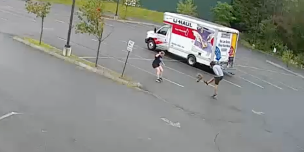 VIDEO: Mysterious aggressive animal attacks 3 people in Hew Hampshire