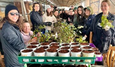 REGISTER NOW: YeahThatsKosher Birthright Israel Adult Volunteer Trip December 2026 • YeahThatsKosher