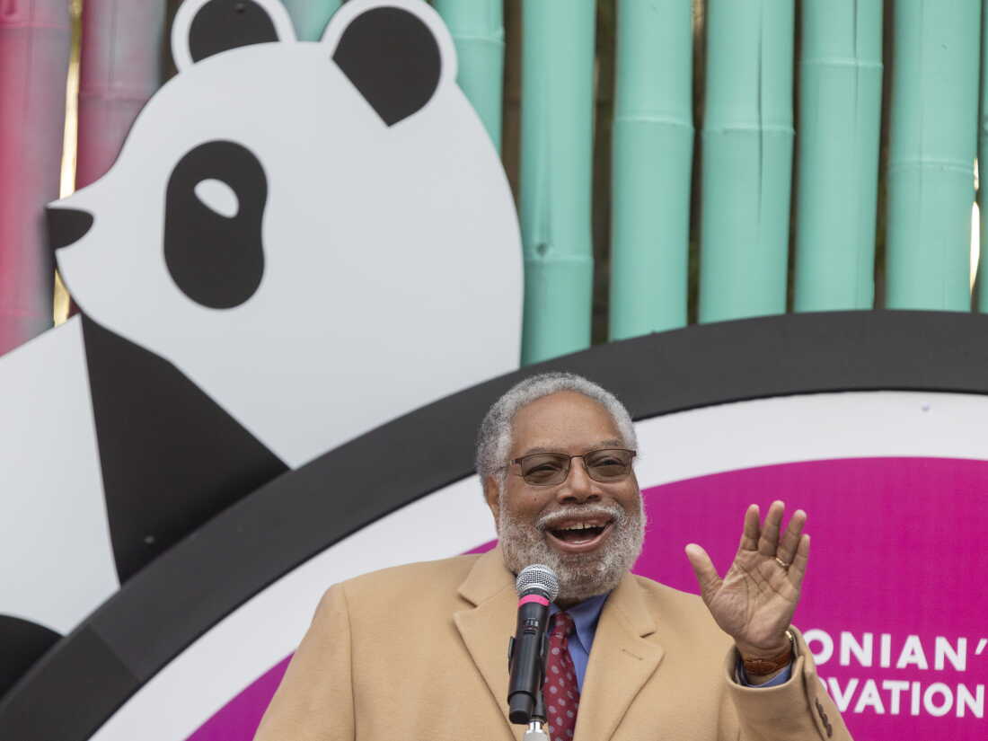 Secretary Lonnie G. Bunch III, who resigned as head of the Smithsonian Institution Tuesday, makes remarks at a ceremony welcoming the public to see the new giant pandas at the National Zoo, Bao Li and Qing Bao on Jan 24, 2025.