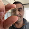 Paleontologist Dany Azar holds up one of his treasures that he discovered in Lebanon in a piece of amber from the early Cretaceous: The oldest mosquito ever found.
