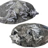 Two complete skeletons of the dinosaur Psittacosaurus from one of the sites analyzed by the research team. Some scientists say these fossils show evidence of preservation due to their burrows collapsing.