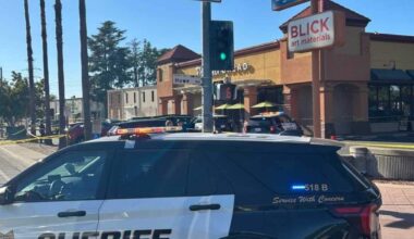 Woman shot dead by stalker in Arden Arcade killing ID’d by coroner