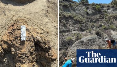 One giant step: first known adult T rex footprints found in North Dakota | North Dakota