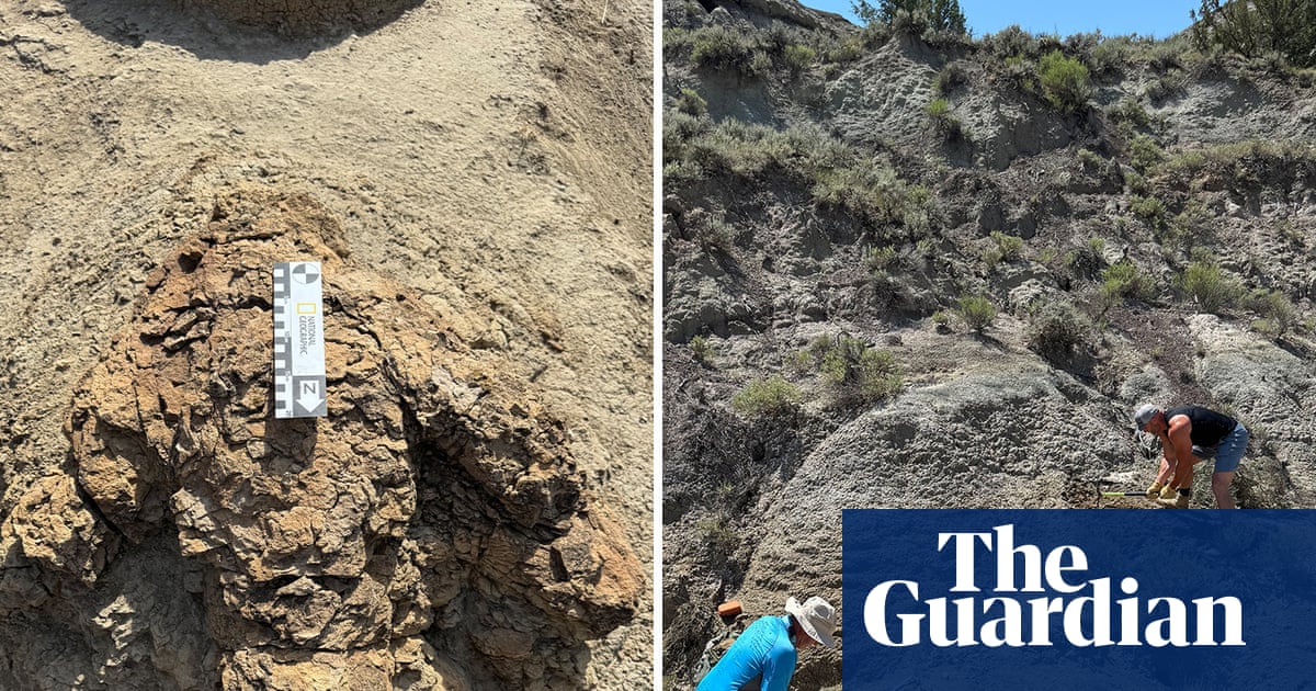 One giant step: first known adult T rex footprints found in North Dakota | North Dakota
