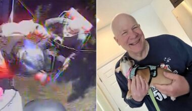 Missing hiker hoisted to safety after vanishing for a week in national park