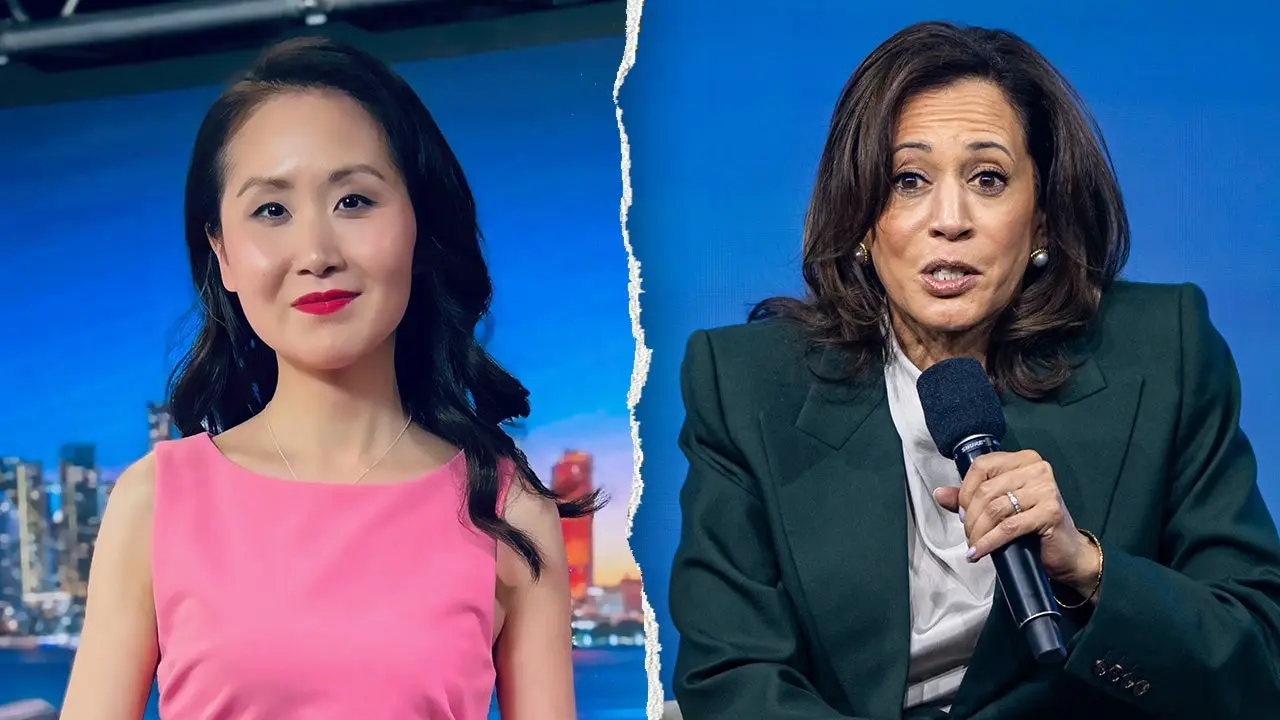 Kamala Harris secretly courted Biden donors, ex-fundraiser claims