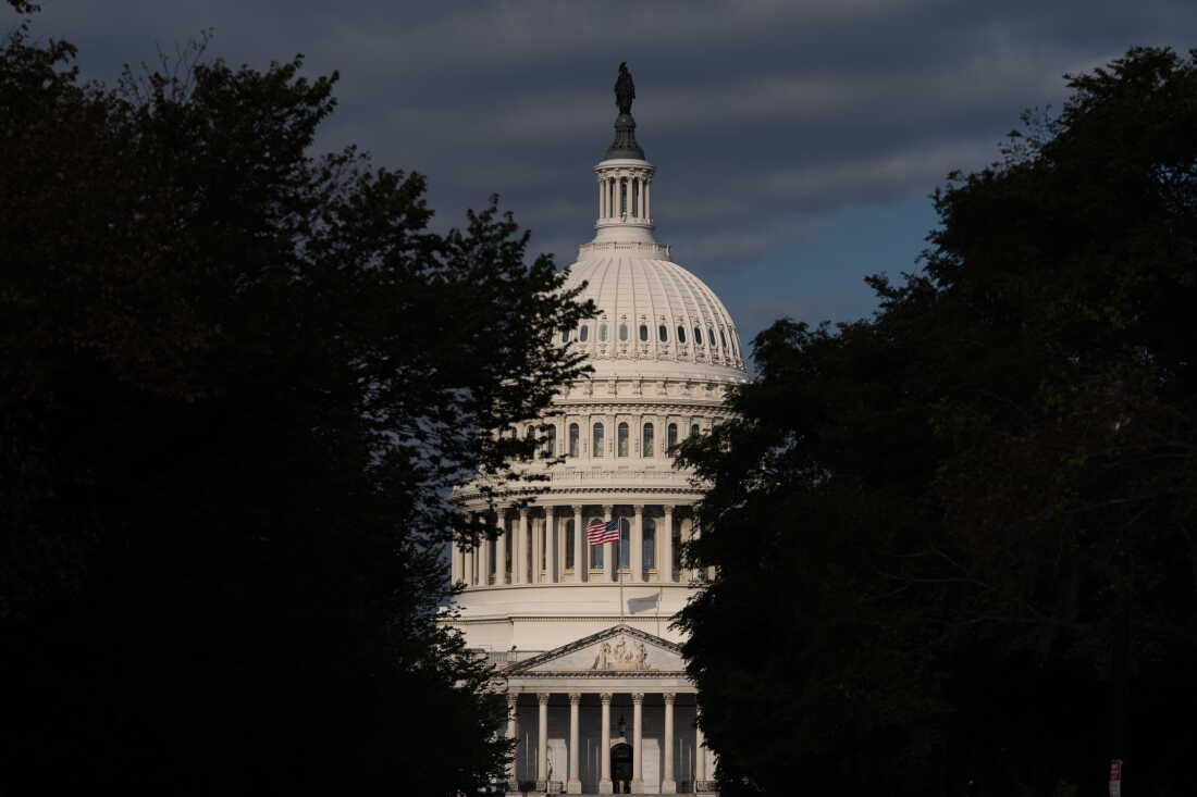 The U.S. Capitol, Washington, D.C.
A new report from the International Institute for Democracy and Electoral Assistance finds U.S. democracy at 50-year low.