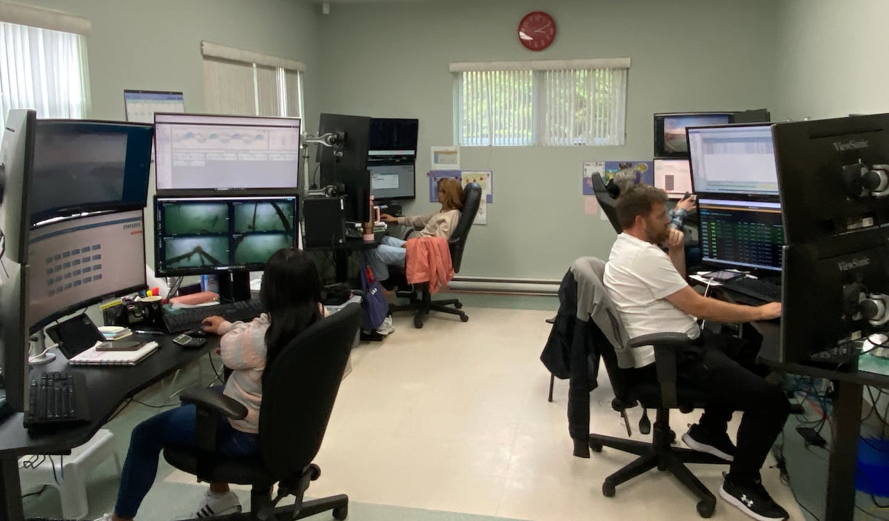 Four or five people in the corner of a small room working on computers at desks.