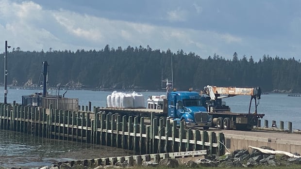 Atlantic salmon farmers push for growth here as imports top $750M