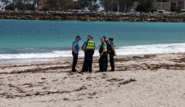 Perth beaches closed after 63-year-old swimmer killed in great white shark attack