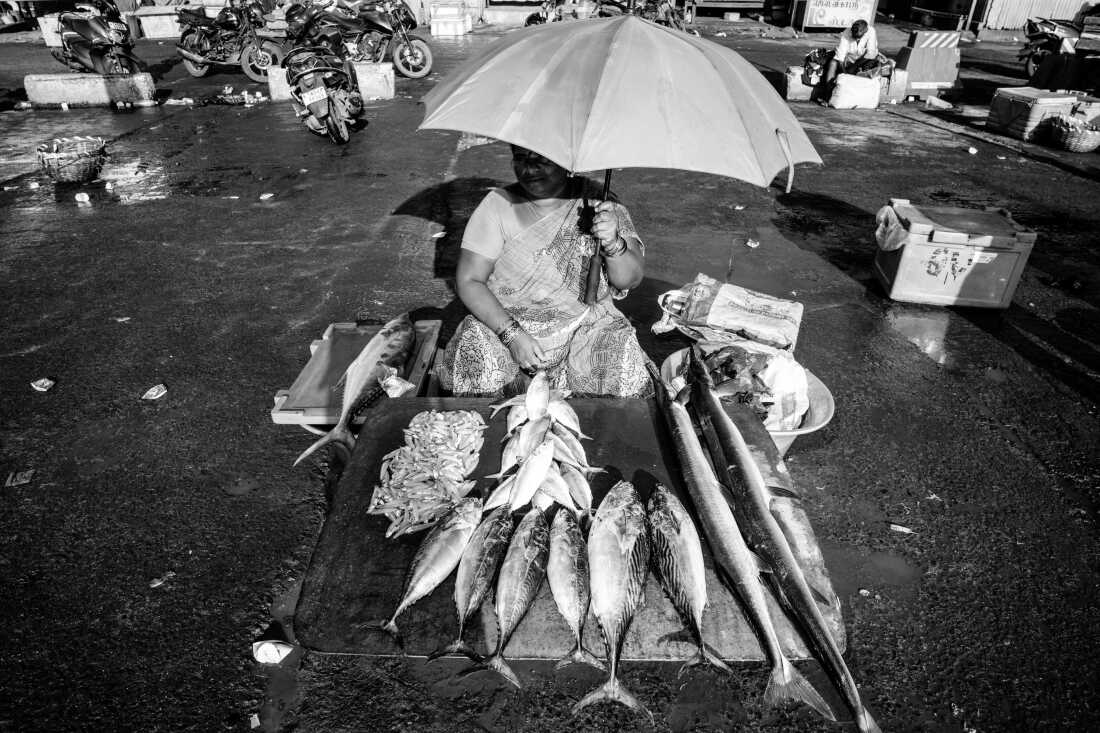 A fish vendor displays her catch at Kasimedu Fishing Harbour in Chennai, India, a hub for fishermen, wholesalers and local sellers.