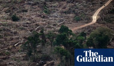 ‘Planetary boundaries’ necessary for flourishing of life have been massively breached, scientists warn | Climate crisis