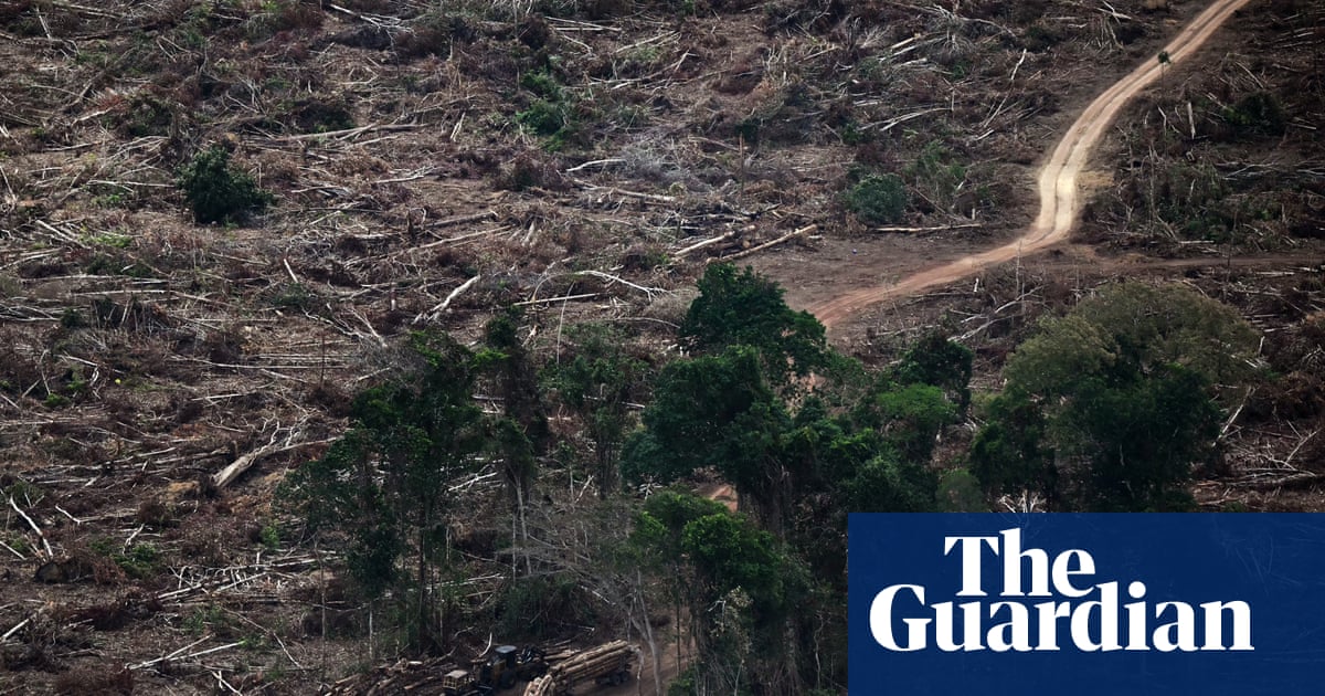 ‘Planetary boundaries’ necessary for flourishing of life have been massively breached, scientists warn | Climate crisis