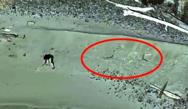 Oregon visitors to Lost Boy Beach rescued after tide traps them