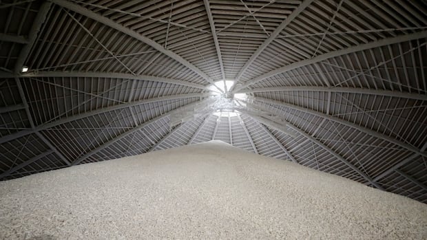 U.S. shouldn't buy 'blood potash' from Belarus, Sask. premier says