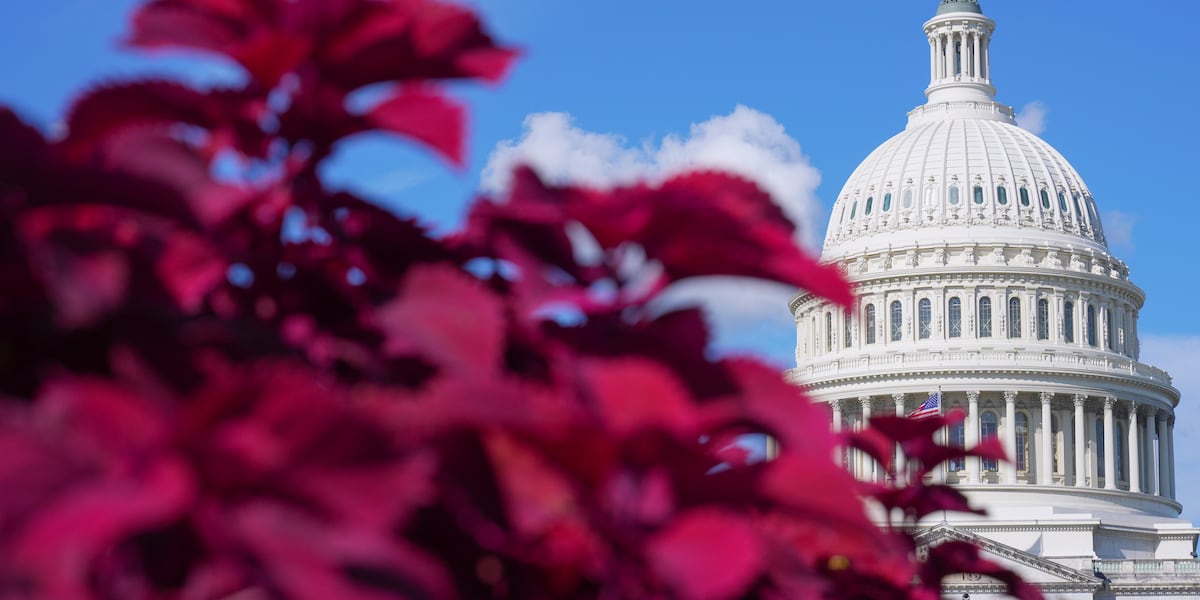 Senate rejects resolution to halt the Iran war as gas prices upend midterms